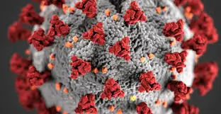 COVID-19 ANTIGEN TEST FOR TRAVELERS IN AREQUIPA